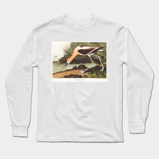 American Avocet from Birds of America (1827) Long Sleeve T-Shirt
